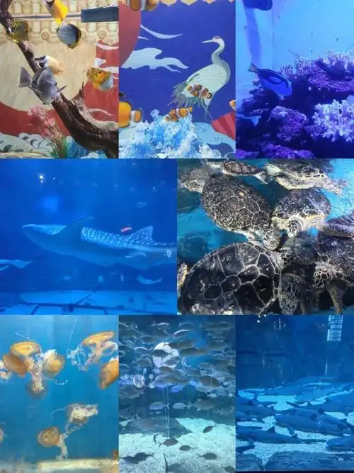 2024华晨宇火星演唱会