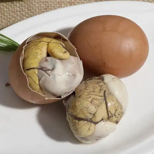 40枚鸡蛋蛋毛蛋旺蛋喜钢化鸡胚生的无毛13天活珠子