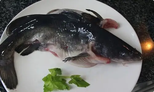 江团清洗干净,在鱼身两侧斜划6,7刀,抹上适量盐,胡椒粉,料酒腌渍入味.