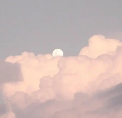 qq名片背景〕〔键盘〕〔背景