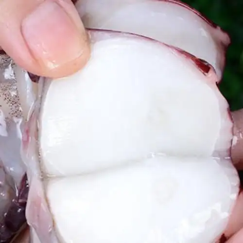 足即食刺身海鲜新鲜冷冻鲜活脚生海章鱼足3斤装