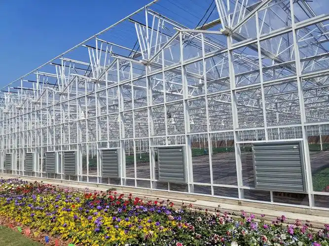 玻璃温室大棚在各行业的主要应用
