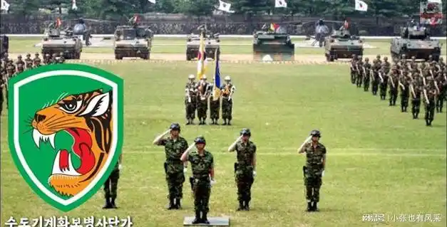 团旗被缴团长被毙不换番号接着玩网友也就韩国人干得出来