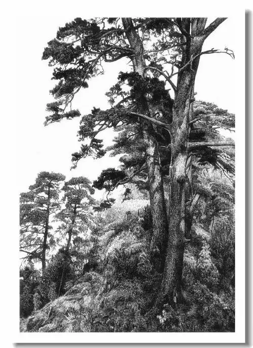 精细生动--鲁愚力钢笔画