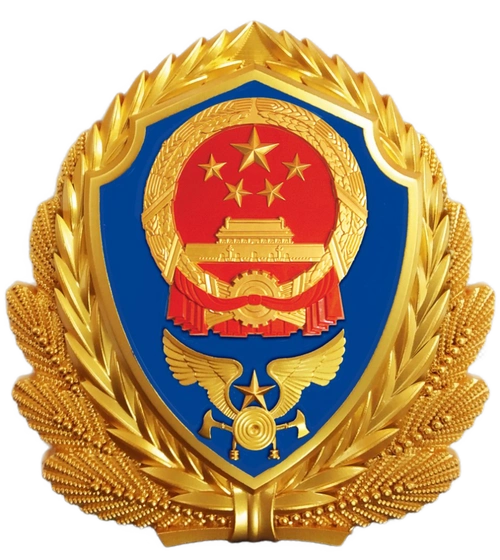 海南省消防救援总队我志愿加入国家消防救援队伍对党忠诚纪律严明赴汤