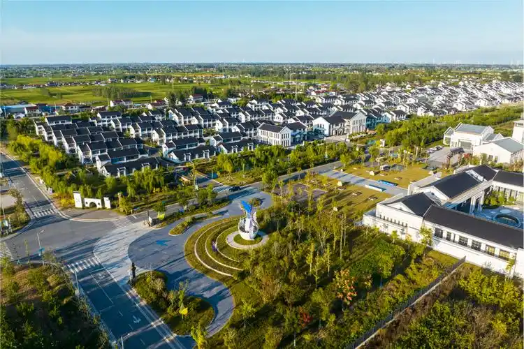 江苏射阳与农同行万象耕新乘势而上又一春