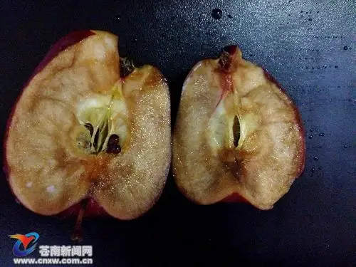 三只蛇果全变质