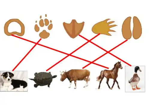 人教版二年级美术下册第10课脚印的联想课件共32张ppt