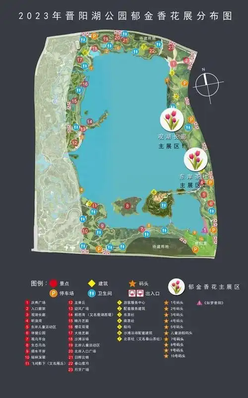 春日限定!晋阳湖公园的郁金香开啦