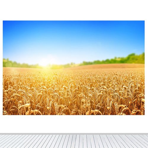 田野稻子蓝天草地树木壁画自粘田园风光金色稻田装饰画风景画墙贴