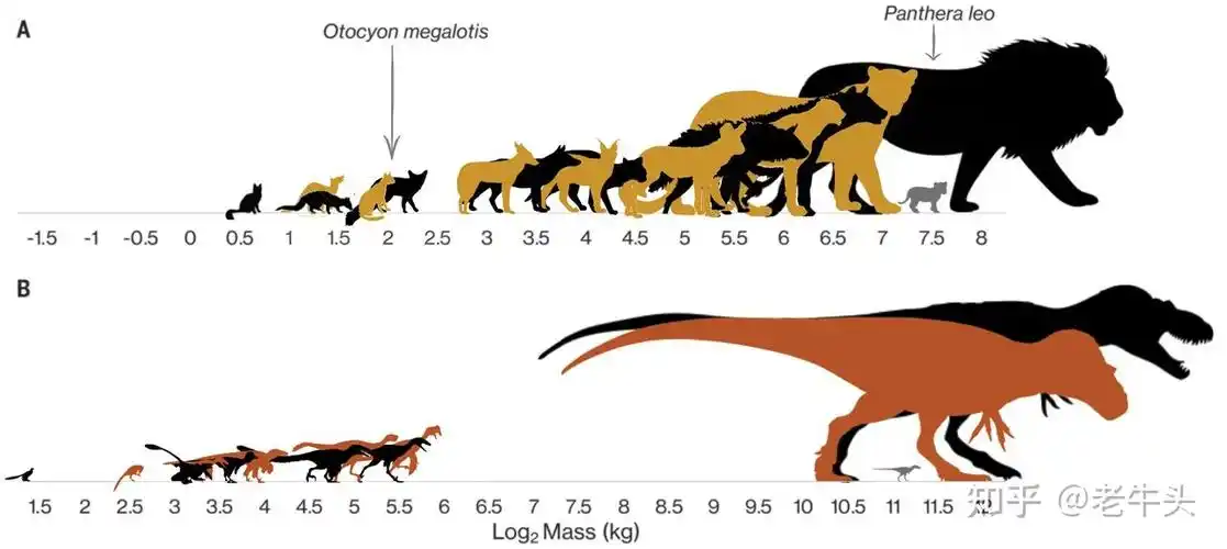 古生物新闻2021年2月15日2月28日