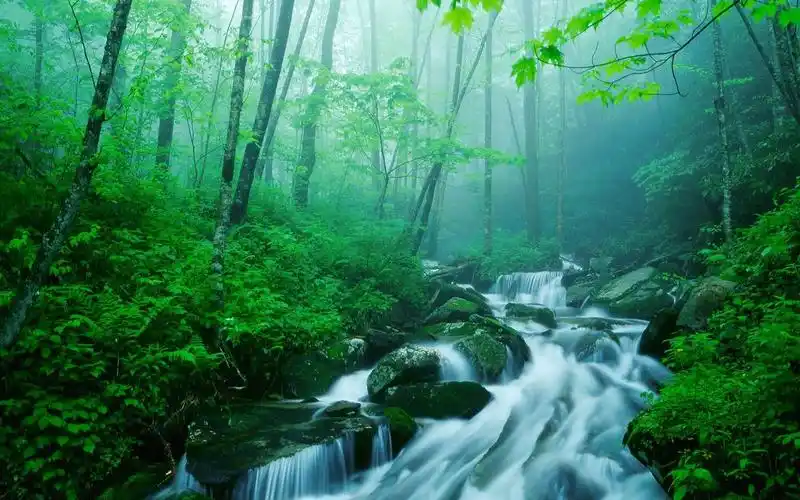 山涧泉水唯美壁纸_诗意的情调