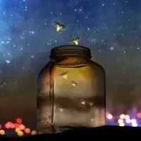 萤火虫唯美意境头像