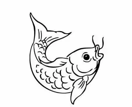鲤鱼简笔画鲤鱼简笔画简单又漂亮