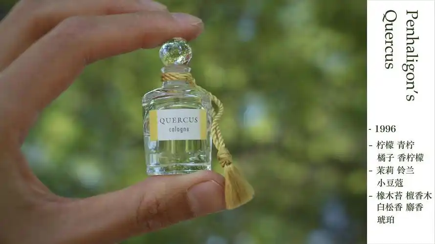 一个简略的夏日香水测评橘绿之泉皇家橡树ag忍冬大地lelabo22超级雪松