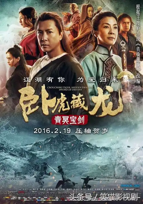 甄子丹10部最好看的电影(甄子丹最经典的40部作品)(37)