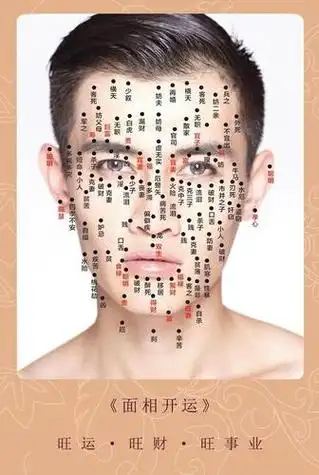 男性面相痣图解大全紫微府,男人面部痣相图解大富大贵男子痣相图女人