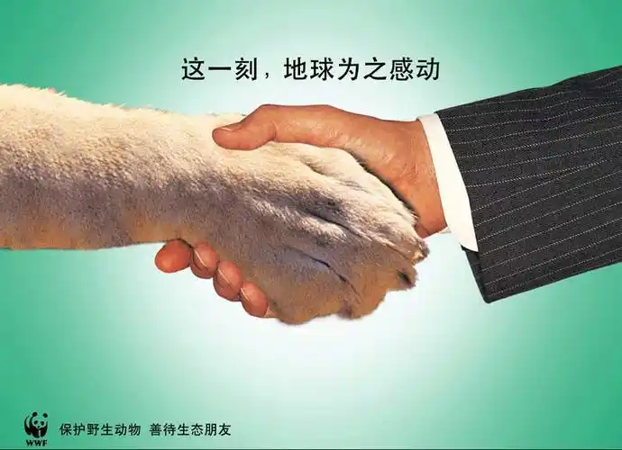 野生动物是大自然的产物,自然界是由许多复杂的生态系统构成的.