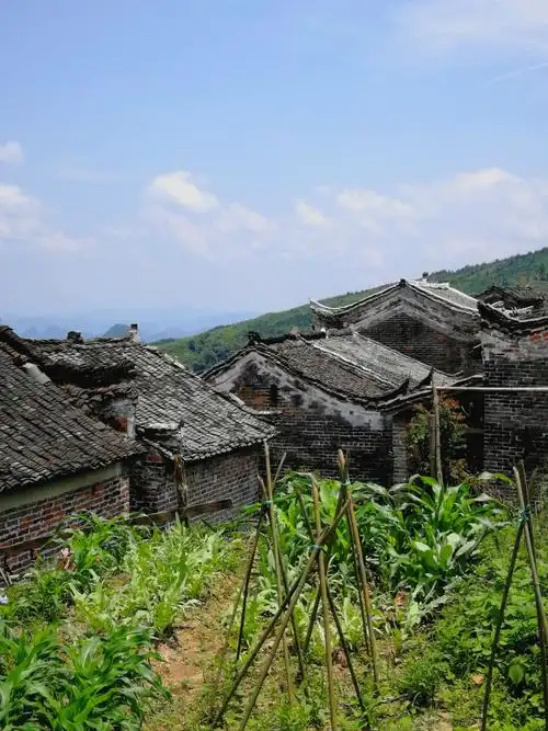 连南千年瑶寨:连南三排镇百里瑶山中,南岗古排被誉为世界瑶族首领排