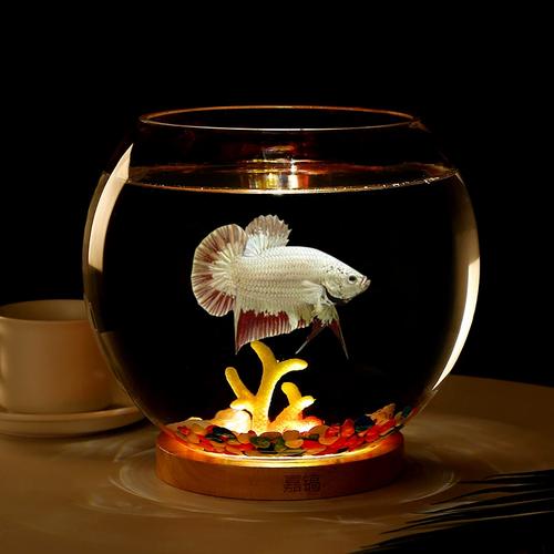 斗鱼缸迷你小型玻璃鱼缸客厅桌面生态微景观办公室水族箱小金鱼缸