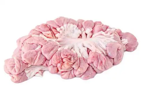 内脏器官的猪无缝模式与血迹屠夫手上鲜猪肉晚上城市景观-肉市大楼