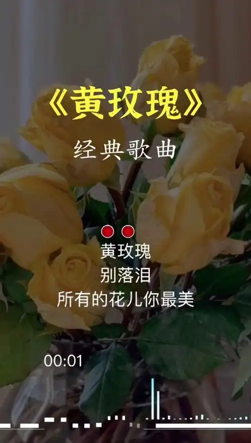 梁红一首经典歌曲黄玫瑰深情的歌声带有一丝淡淡的忧伤
