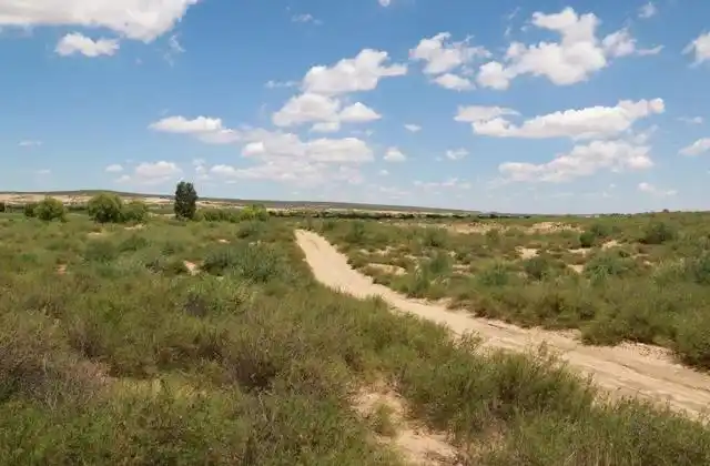 消灭千年沙漠,种出8个韩国大的绿洲!中国治沙能力,到底多牛?