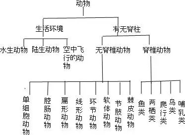 水中生活的动物.爬行类.鸟类.哺乳类c.环节