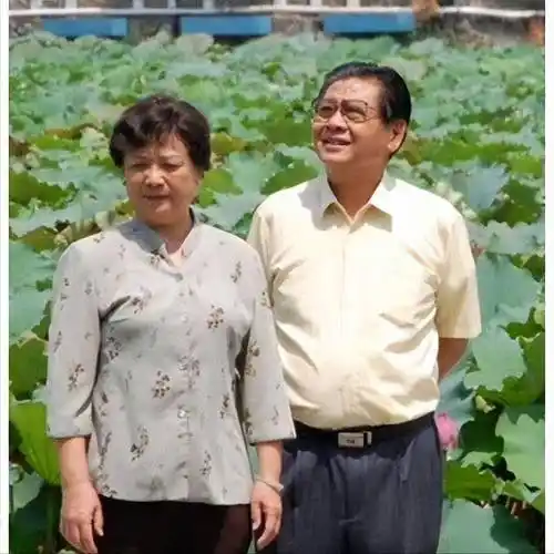 《外来媳妇本地郎》"康伯"病逝:曾遭人误解,妻儿都是普通人_龚锦堂