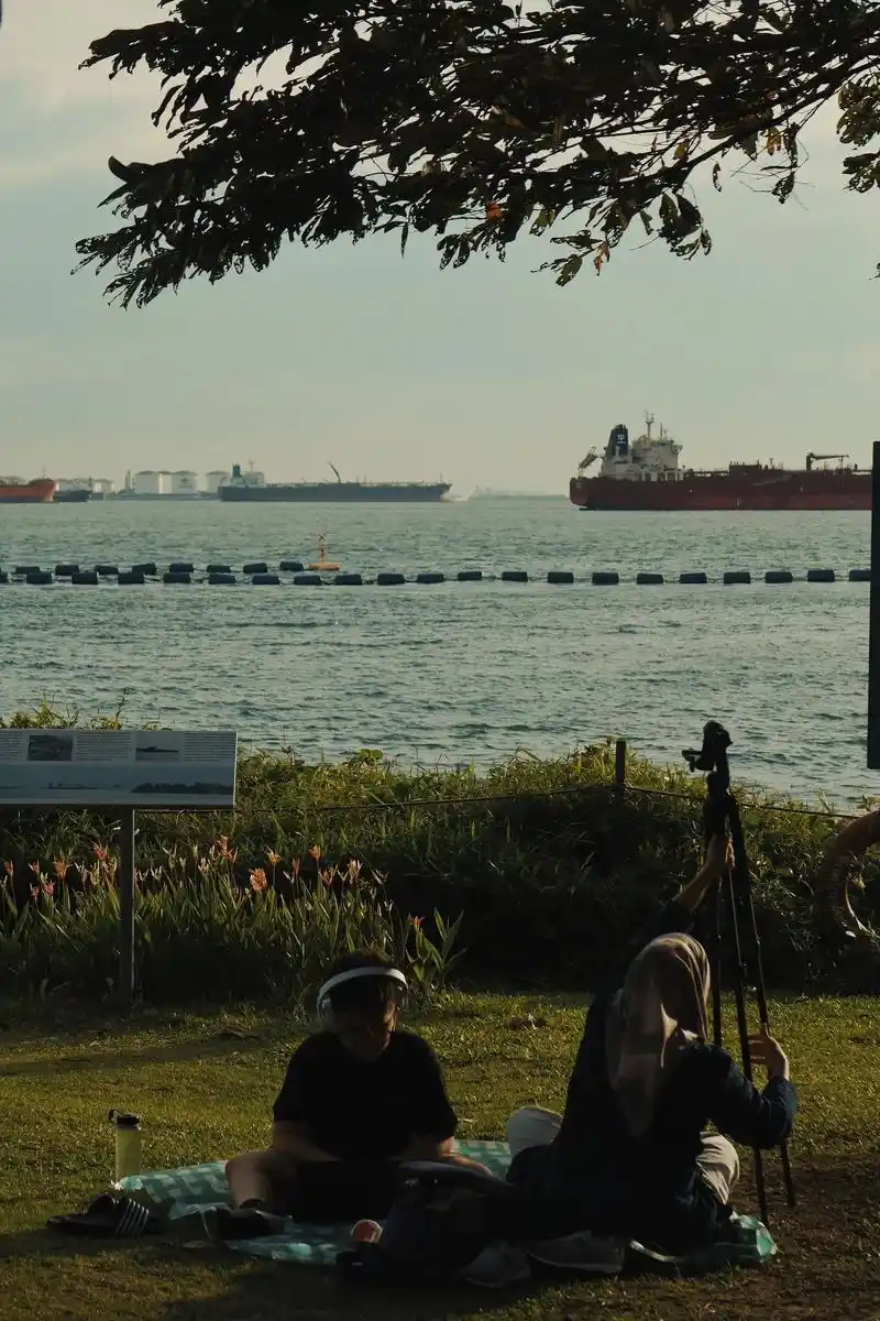 没有壁纸的话那就自己拍.sentosa beach 9492 - 抖音