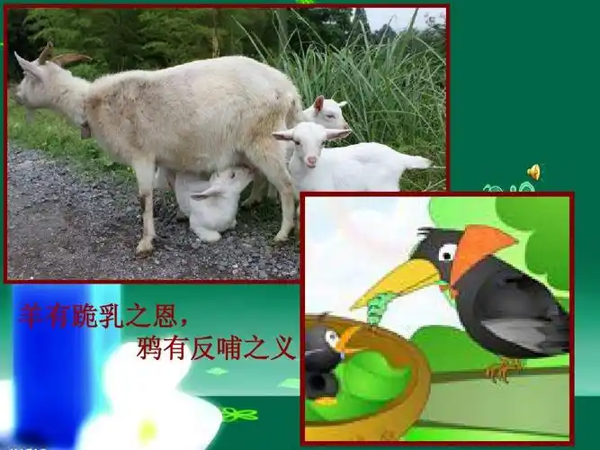 感恩主题班会ppt《心怀感恩,点亮人生》