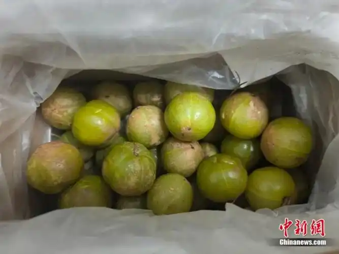 这个旅游日,用最"野"的方式,打开云南人的餐桌!