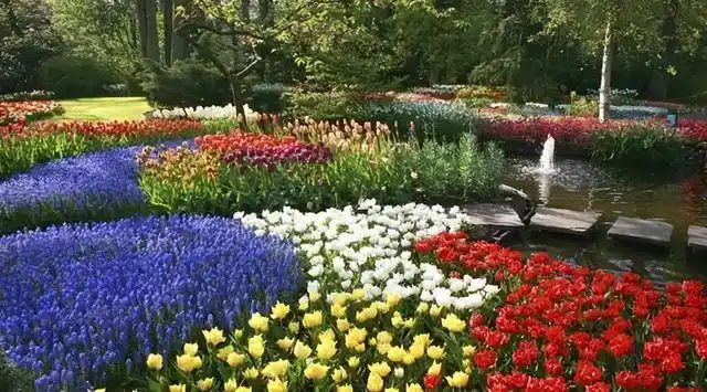 11个豪华大花园创意设计,大面积多格局