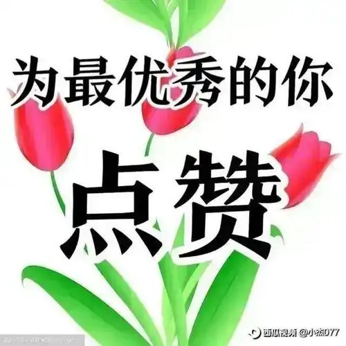 电子琴《小白杨》旋律优美,节奏明快,真好听