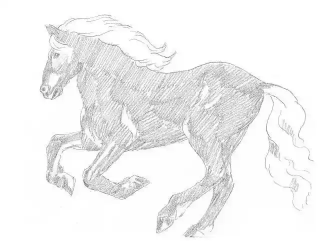 素描马的画法