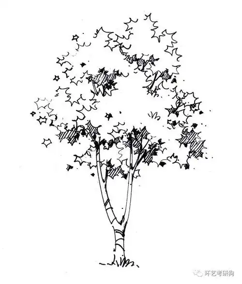 景观单体丨景观手绘单体临摹抄绘素材集