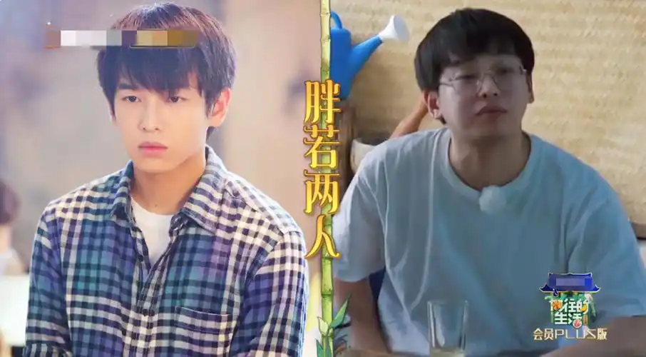 彭昱畅在《向往的生活》胖了多少?看到前后对比照,这真的是你?