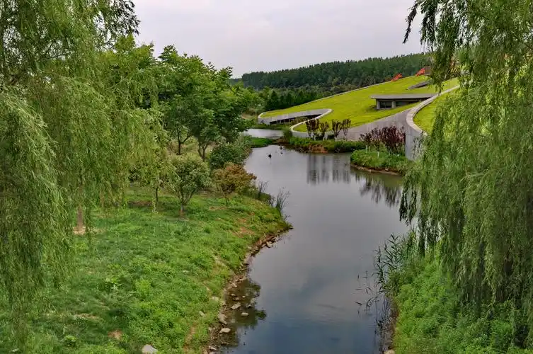 标题:合肥滨湖国家森林公园