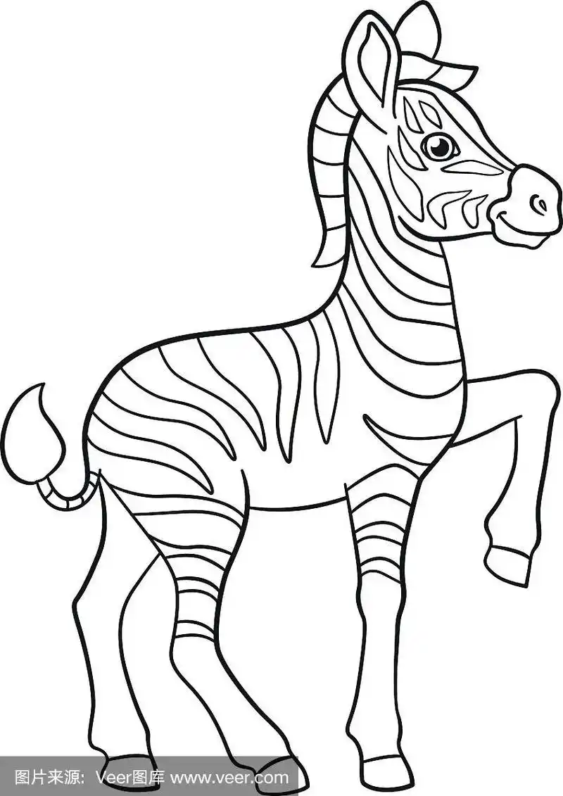 着色页面.可爱的斑马宝宝笑了.