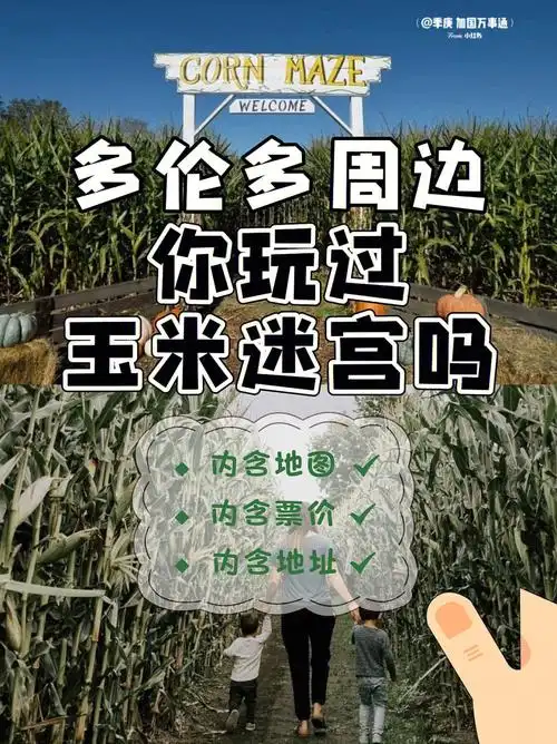 多伦多周边亲子游推荐大型玉米迷宫
