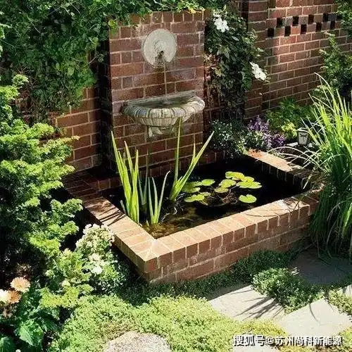 每个庭院都应该有一个这样的水池_手机搜狐网