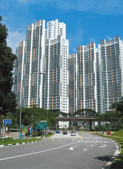 新加坡组屋项目 - 沈阳远大智能工业集团股份有限公司