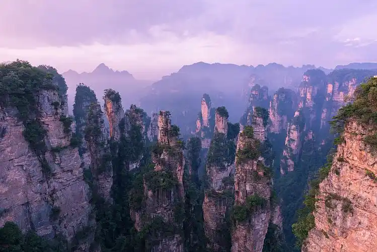 绿色的自然背景,令人惊叹的中国湖南省张家界国家森林公园.图片