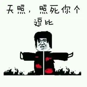 宇智波鼬:天照,照死你个逗比