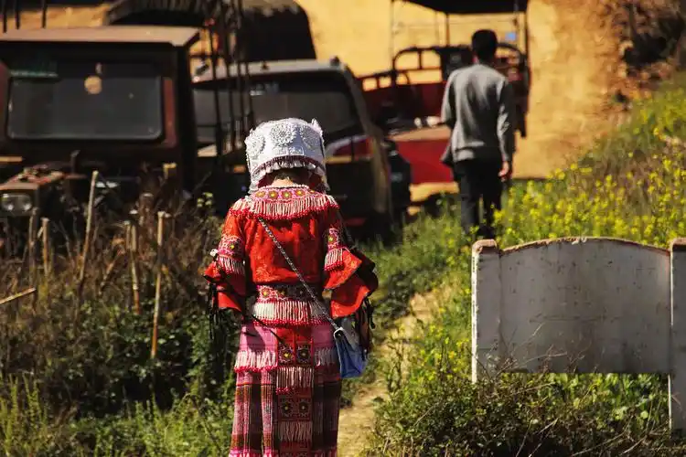 雀雀菠萝蜜 - 图虫摄影网