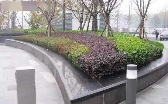 花岗岩树池欣赏