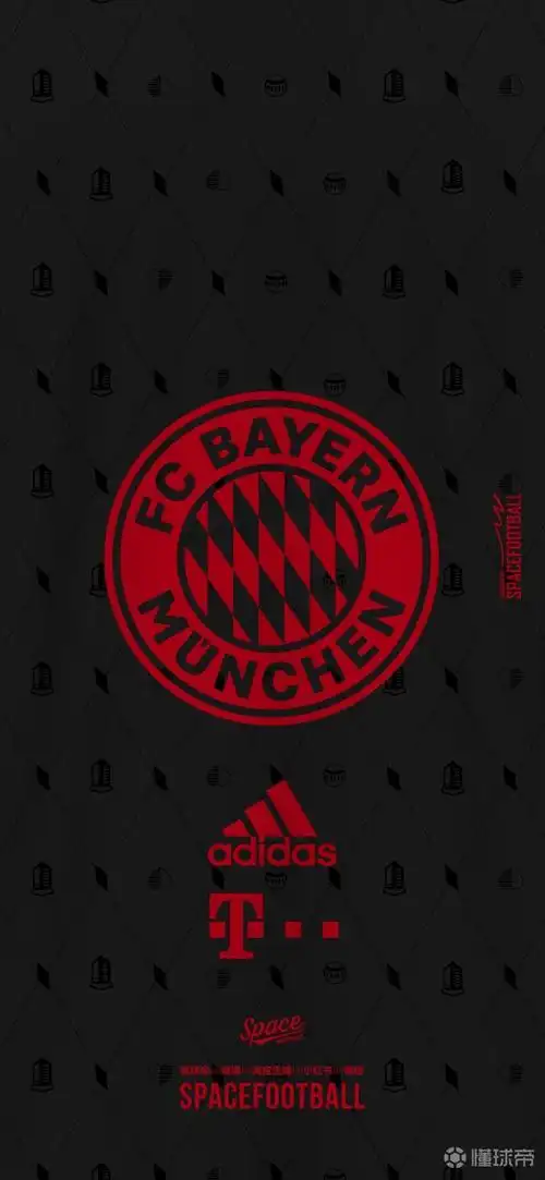 死忠饭队徽系列拜仁慕尼黑design