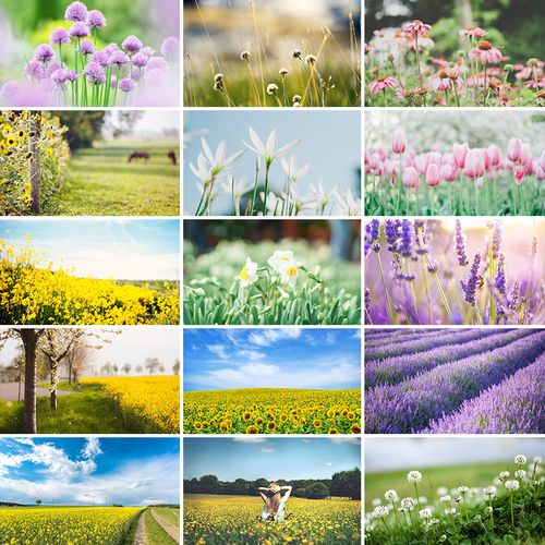 春暖花开桌面壁纸花卉田野风景图片文艺小清新唯美背景jpg素材