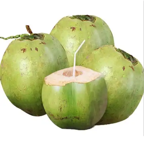 海南带皮青椰子6个装新鲜水果陈小四水果