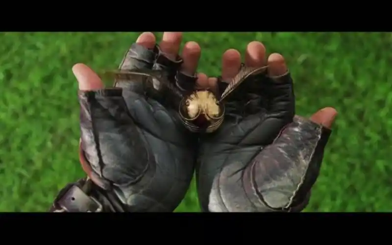 哈利波特中最风靡的游戏魁地奇金色飞贼iopenattheclose关键时刻记得